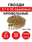 Гвоздь кровельный DPN 3.1x25 NK RING (CRN 31/25) Гвоздь кровельный DPN 3.1x25 NK RING (CRN 31/25)